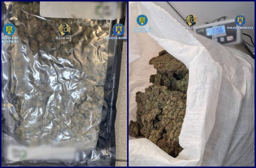 APROXIMATIV 22 DE KILOGRAME DE CANABIS, descoperite de politisti si procurori
